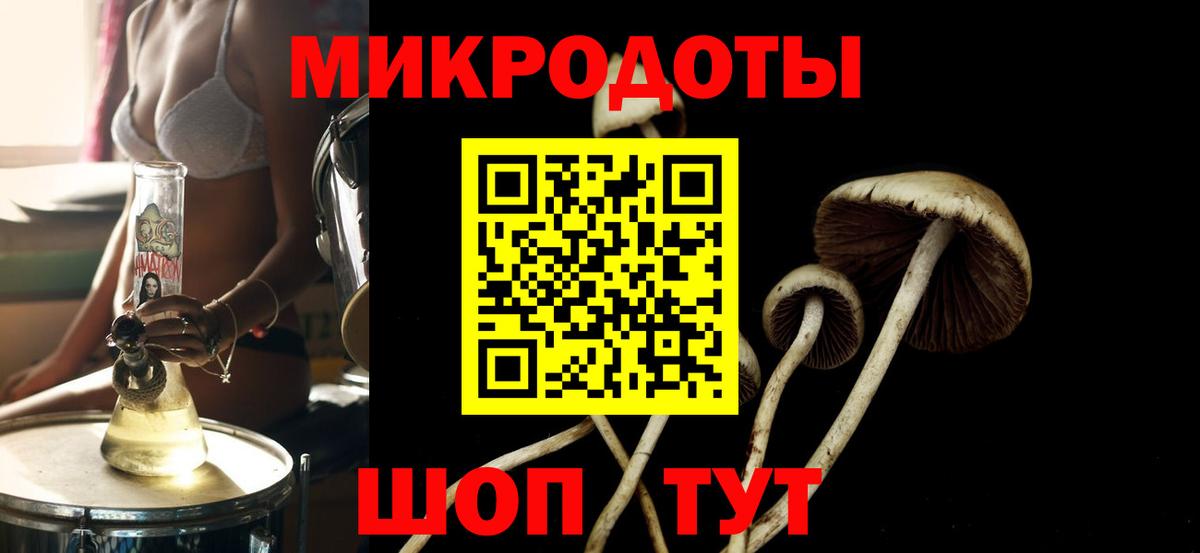 Псилоцибиновые грибы GOLDEN TEACHER  Псилоцибиновые грибы Magic Shrooms  Партизанск  закладки  Вход с VPN 